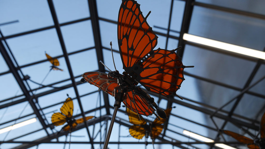  Nuée de papillons -crédit photo p.david - cie La Machine - Nantes