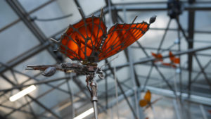 Nuée de papillons - compagnie La Machine Nantes