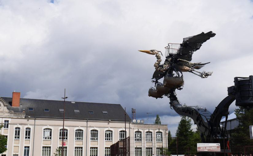 The Great Blue Heron takes flight